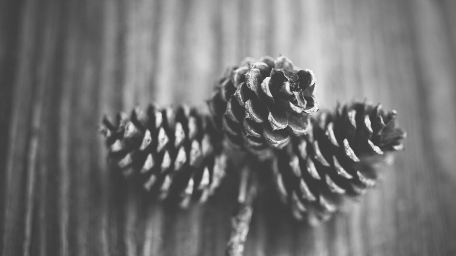 Catégorie Photo & Vidéo